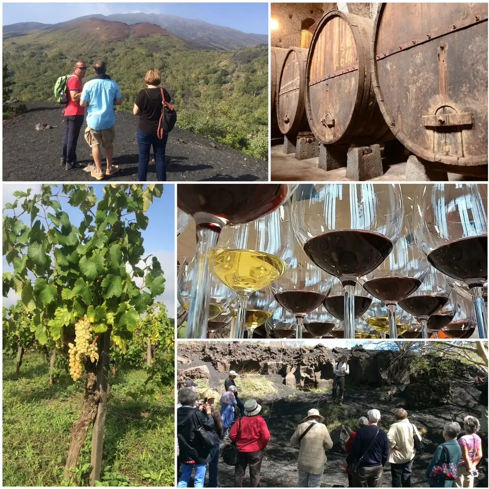 Immagini di un’esperienza enologica sull’Etna Immagini di un’esperienza enologica sull’Etna
