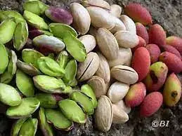 Frutta secca assortita, tra cui pistacchi Frutta secca assortita, tra cui pistacchi