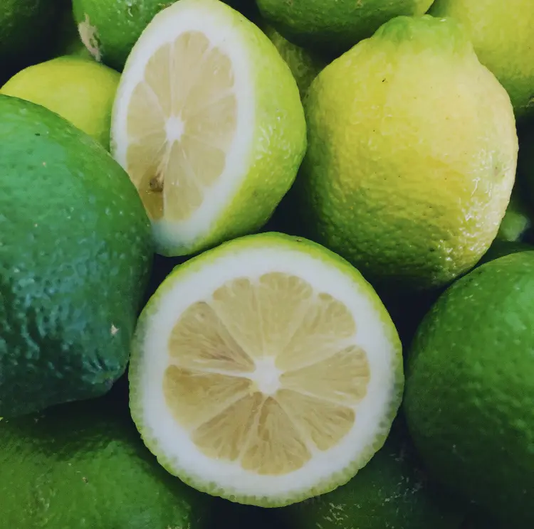 Limoni verdelli siciliani Limoni verdelli siciliani
